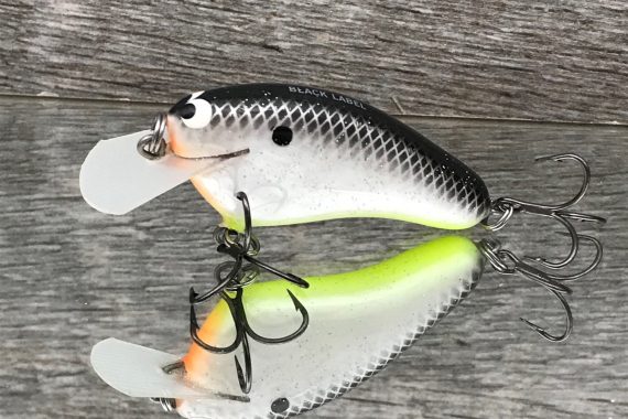 HICKSTER HOT SHAD