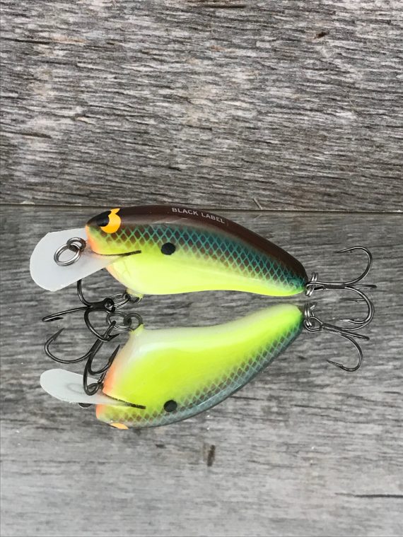 HICKSTER RIVER BREAM