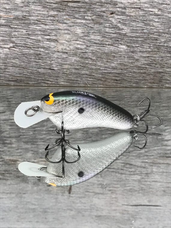 HICKSTER GIZZARD SHAD FOIL