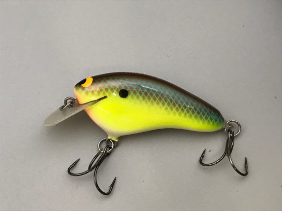 HICKSTER RIVER BREAM - Image 3