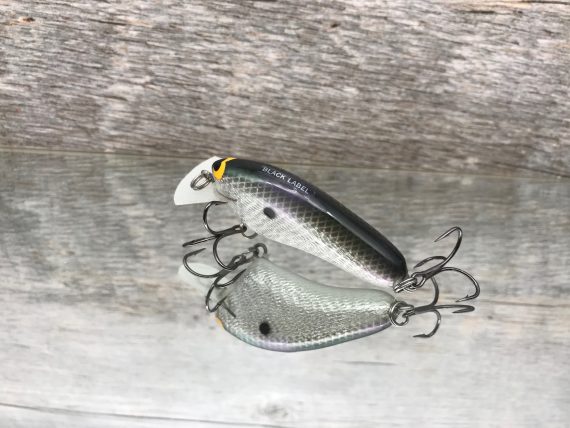 HICKSTER GIZZARD SHAD FOIL - Image 3