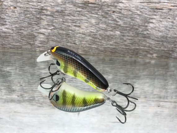 HICKSTER BOLD BLUEGILL - Image 3