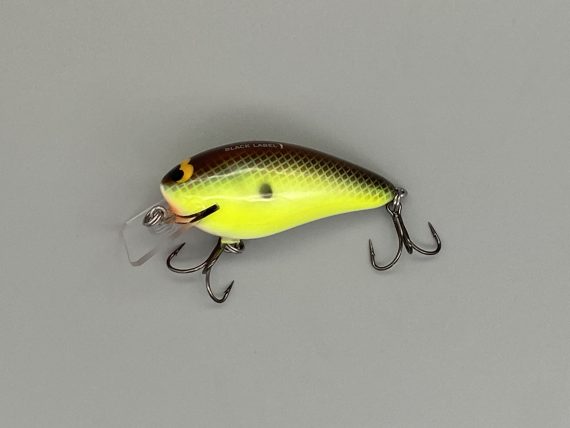 B.L. 1.5 River Bream - Image 3