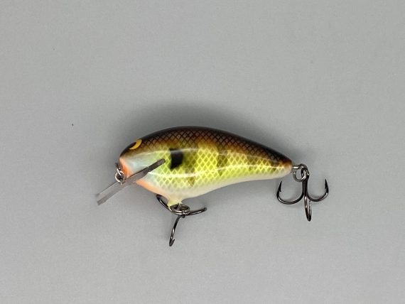 B.L. 1.5 Bold Bluegill - Image 3
