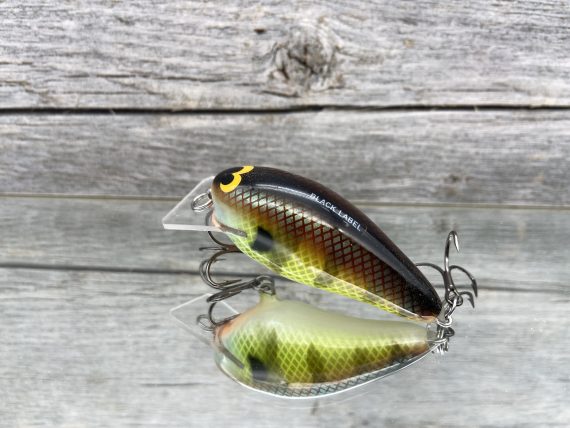 B.L. 1.5 Bold Bluegill - Image 2