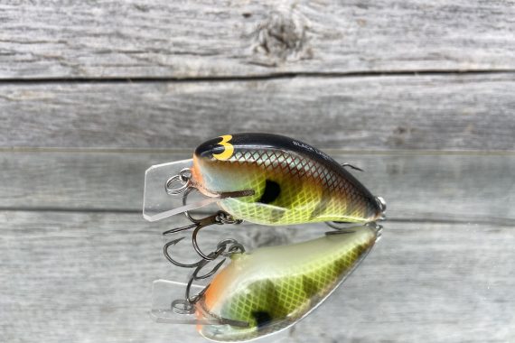 B.L. 1.5 Bold Bluegill