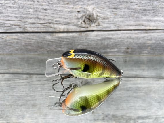 B.L. 1.5 Bold Bluegill
