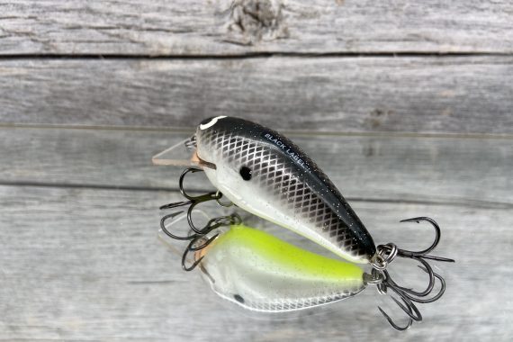 B.L. 1.5 Hot Shad