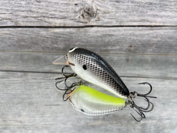 B.L. 1.5 Hot Shad - Image 2
