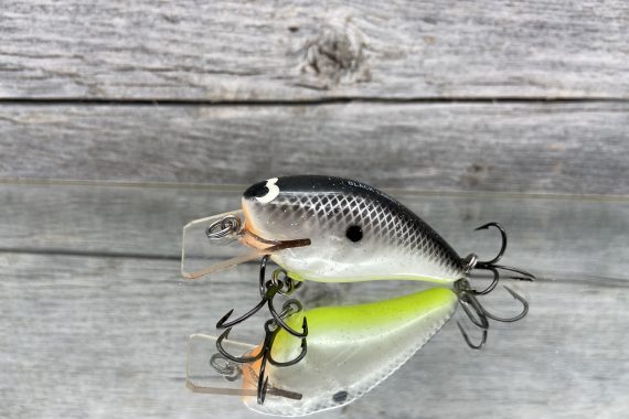 B.L. 1.5 Hot Shad