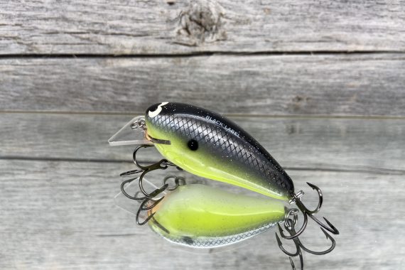 B.L. 1.5 Chartreuse Magic