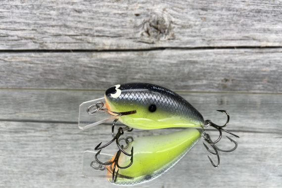 B.L. 1.5 Chartreuse Magic