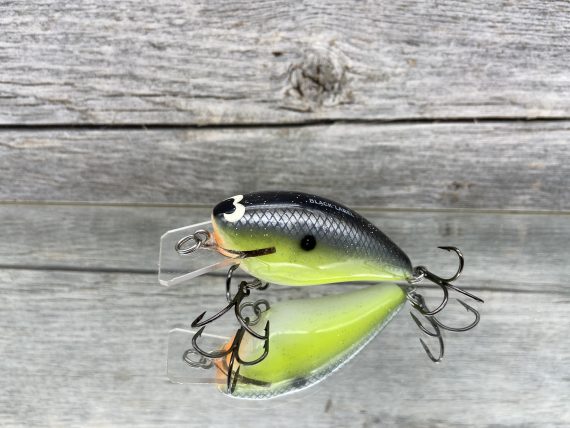B.L. 1.5 Chartreuse Magic