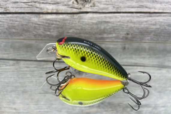 B.L. 1.5 Chartreuse Black