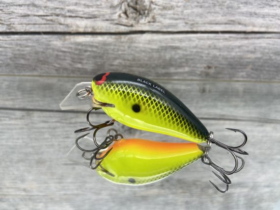 B.L. 1.5 Chartreuse Black - Image 2