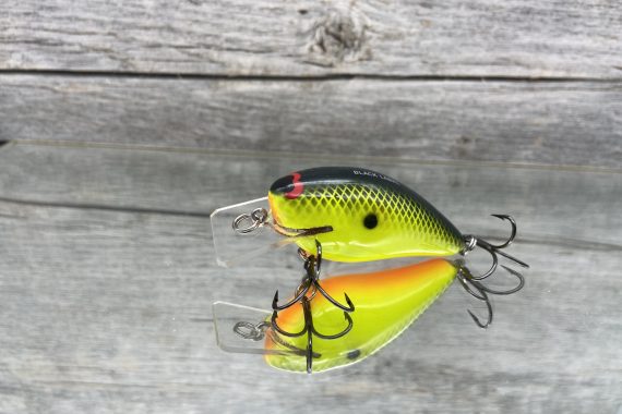 B.L. 1.5 Chartreuse Black