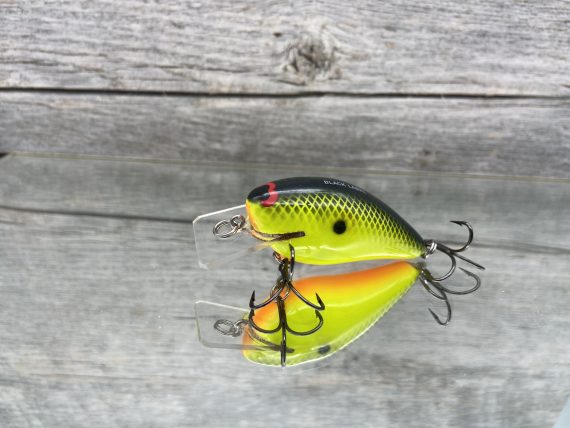 B.L. 1.5 Chartreuse Black