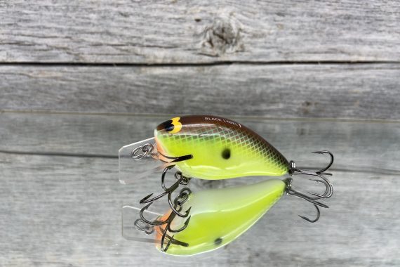 B.L. 1.5 River Bream