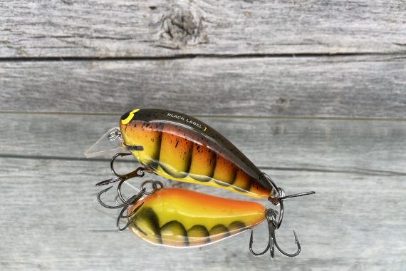 BL 1.5 Spring Craw