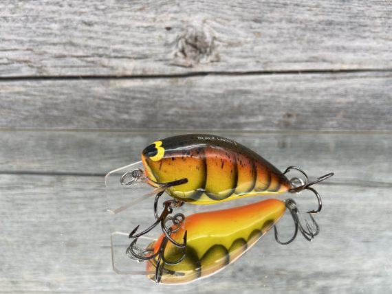 spring craw 1.5