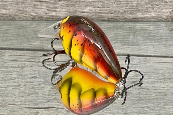 Wreck Spring Craw