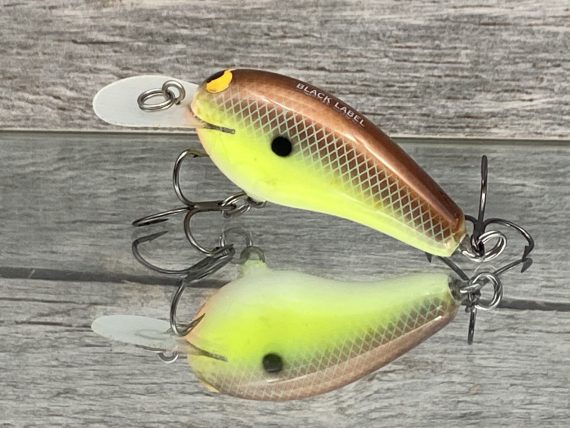 Little Cliffie River Bream