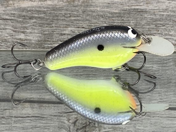 Little Cliffie Chartreuse Magic