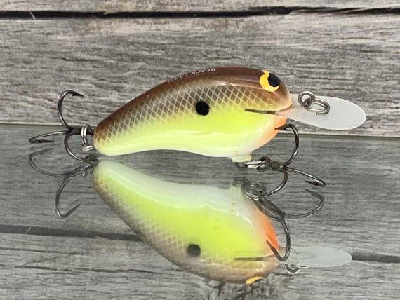 Little Cliffie River Bream - Image 2