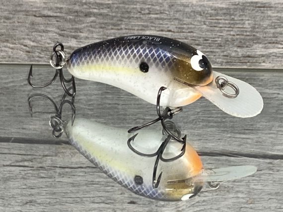 Little Cliffie Pearl Threadfin - Image 2