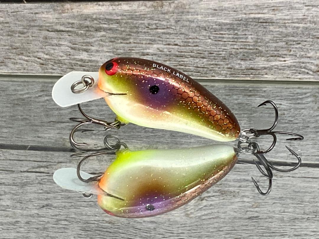 PEANUT- HIGH ROCK SHAD - Black Label Tackle