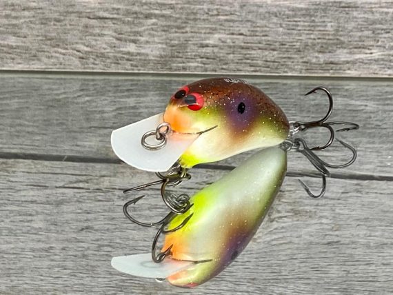 PEANUT- HIGH ROCK SHAD - Image 2