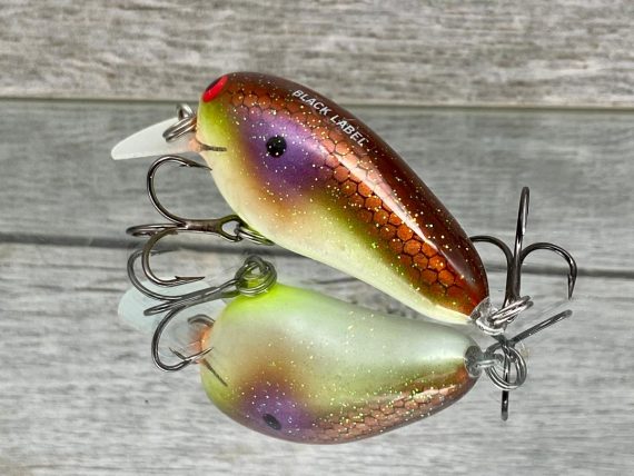PEANUT- HIGH ROCK SHAD - Image 3