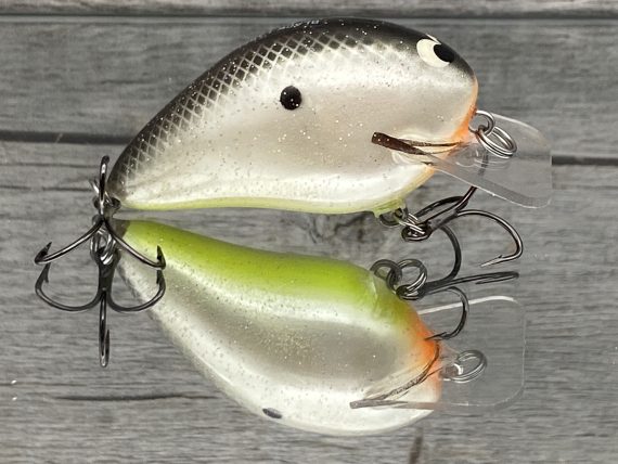 RICOCHET JR - HOT SHAD - Image 2