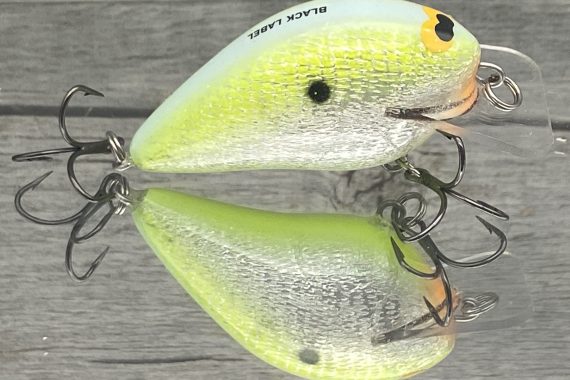 Black Label Tackle - Ricochet Jr. Crankbait - Profile 3/8 oz. 2 1/4