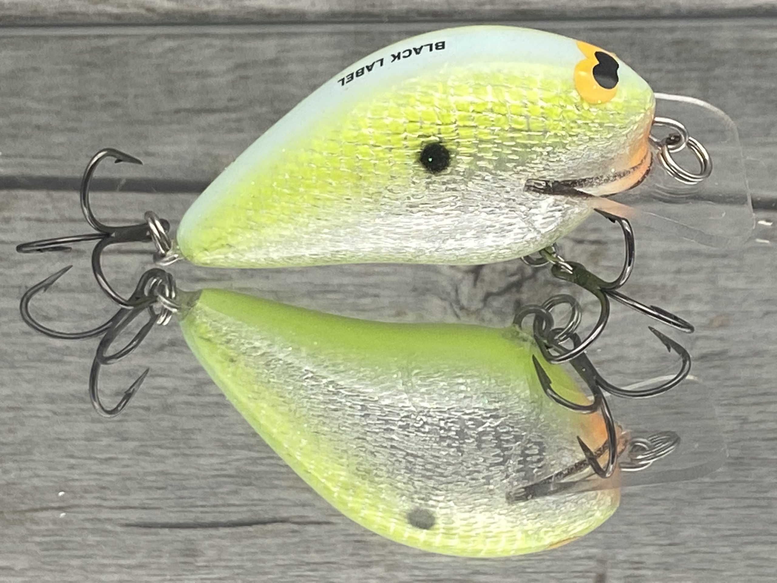 Black Label Tackle - Ricochet Jr - Citrus Shad Foil