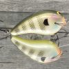 RICOCHET - BLUEGILL - Image 2