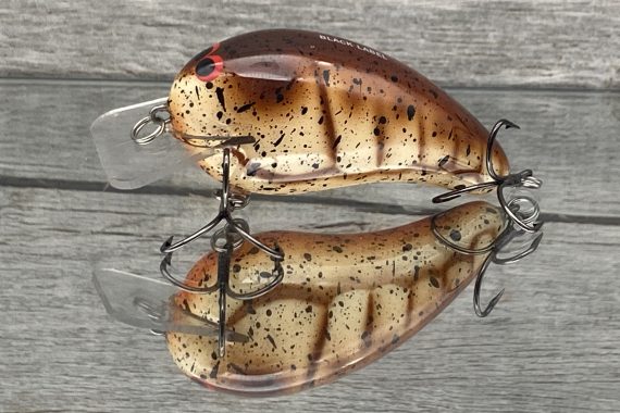 RICOCHET – BROWN CRAW