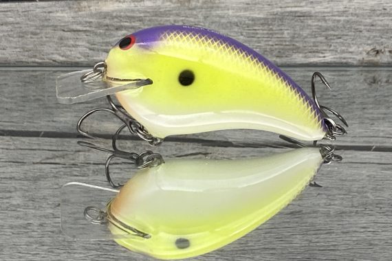 RICOCHET – CHARTREUSE PURPLE