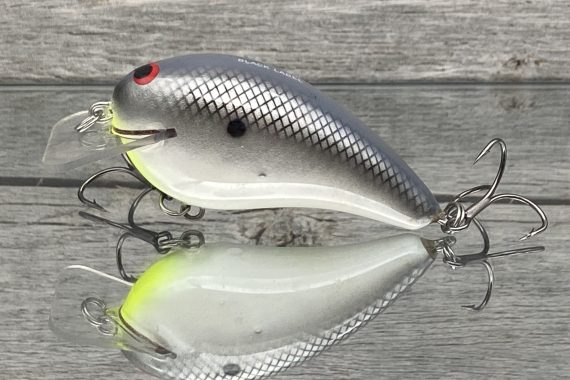 RICOCHET – NEON SHAD