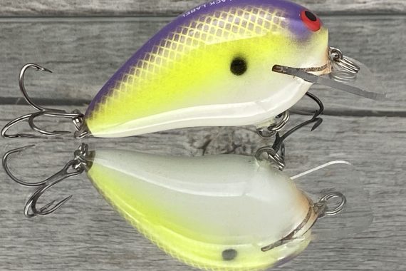 RICOCHET JR – CHARTREUSE PURPLE