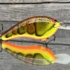 SLIM - ROTTEN CRAW - Image 2
