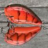 RICOCHET JR - DELTA CRAW